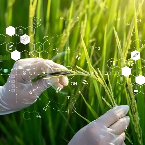 Automatización Empresarial, Cómo SF Perú SAC Transforma la Gestión de Negocios